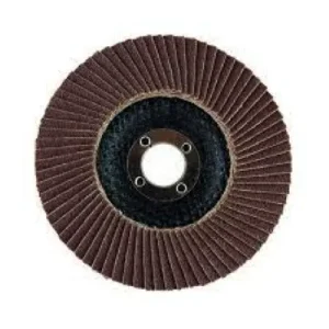 Flap Disc 100...