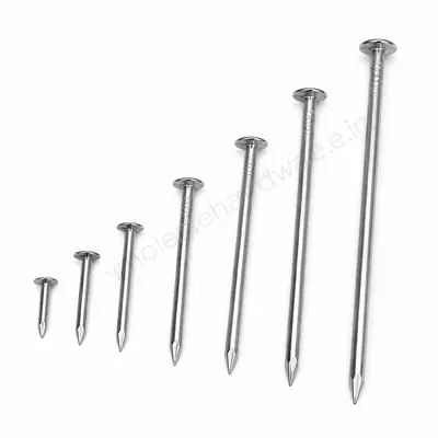 Steel nails in increasing lengths with flat round heads and pointed tips, silver metal, aligned upright on a clean white background